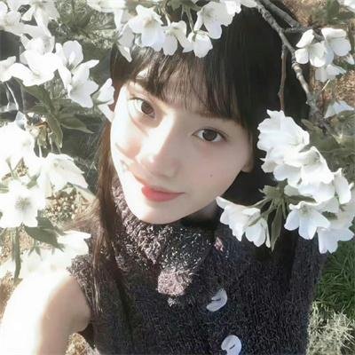 七骑侠