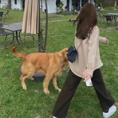 付丧神出租中